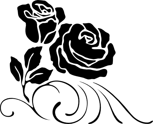 (038-01-1N) Roses Rose Flower