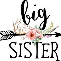 Collection image for: Other Custom (illustrated)