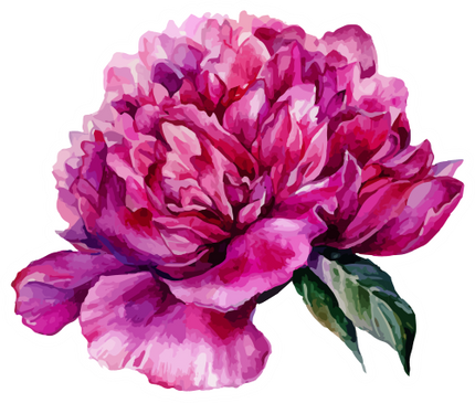 (396-03) Peonies