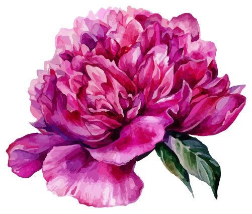 (396-03) Peonies