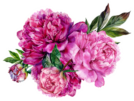 (396-03) Peonies