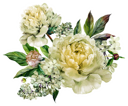 (396-03) Peonies
