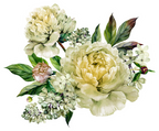 (396-03) Peonies