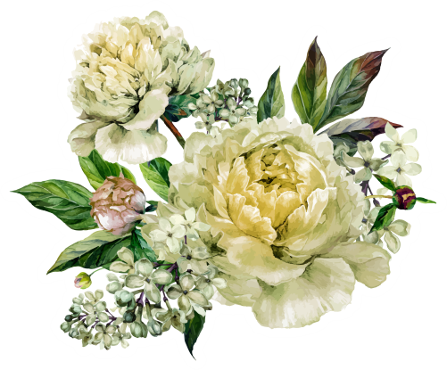 (396-03) Peonies