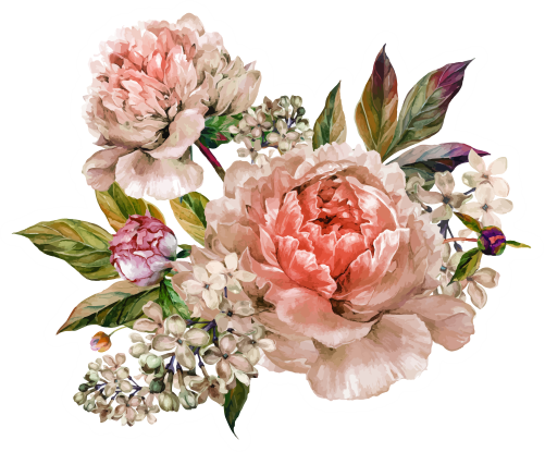 (396-03) Peonies