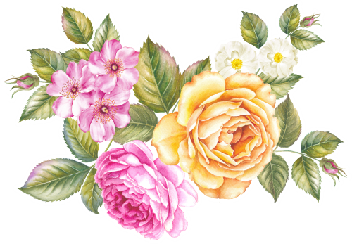 (396-01) Roses Rose Bouquets Watercolor Flowers