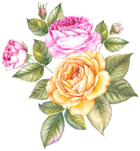 (s396-1-B) Yellow Pink Roses Watercolor Flowers