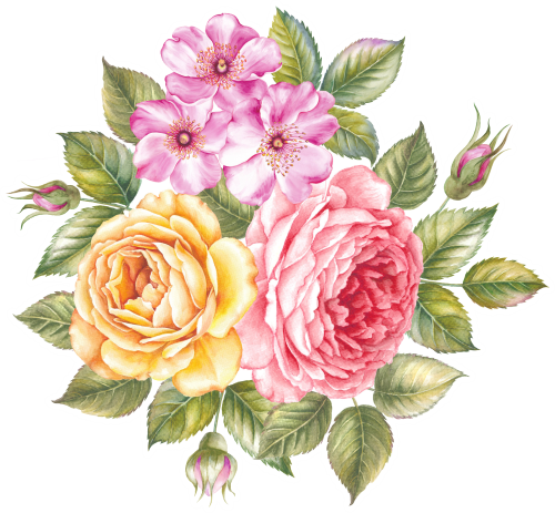 (s396-1-C) Yellow Pink Roses Watercolor Flowers