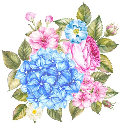 (s396-1-D) Blue Hydrangeas Pink Roses Watercolor Flowers