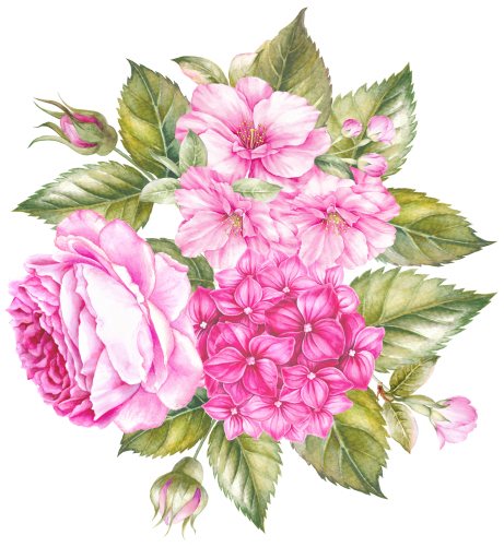 (s396-1-E) Pink Roses Hydrangeas Watercolor Flowers