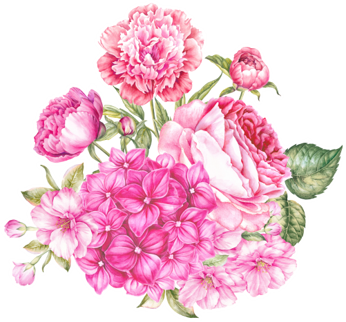 (s396-1-F) Pink Roses Hydrangeas Watercolor Flowers
