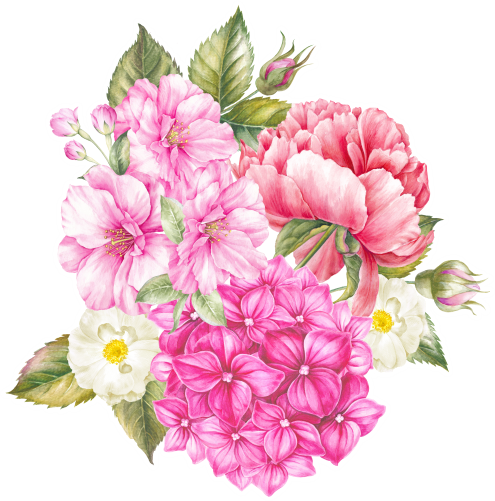 (s396-1-G) Pink Roses Hydrangeas Watercolor Flowers