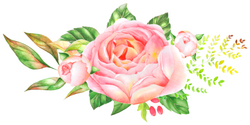 (s396-2-C) Pink Yellow Roses Watercolor Flowers