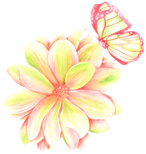 (s396-2-D) Pink Yellow Roses Butterflies Watercolor Flowers