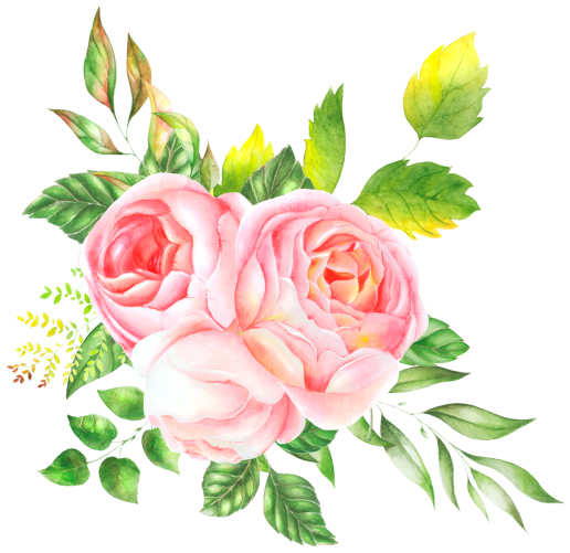 (s396-2-F) Pink Yellow Roses Watercolor Flowers