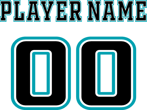 (cpn-001-3) FTY Oldsport College Block Custom Player Name & Number Set 1, 2 or 3 Colors