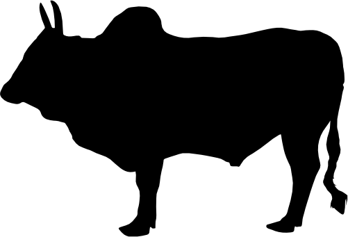 (003-02-1E) Cow Silhouette