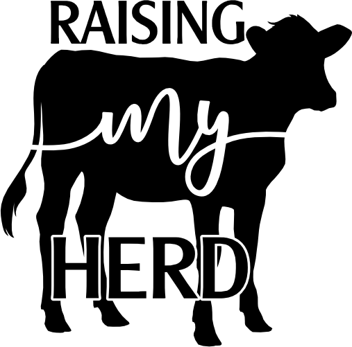 (s003-13-C) Raising My Herd Cow