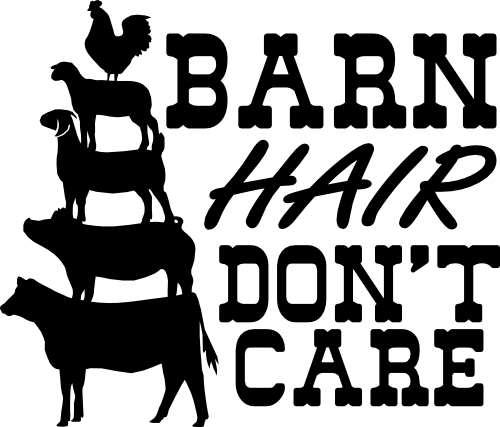 (s003-12-A) Barn Hair Don't Care