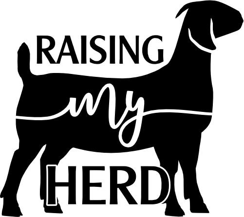 (s003-13-F) Raising My Herd Goat