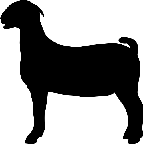 (s003-03-E) Goat Silhouette