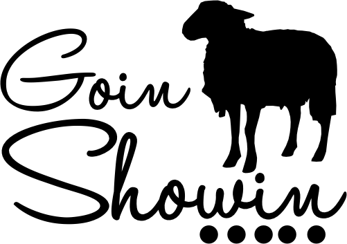 (s003-11-F) Goin Showin' Sheep