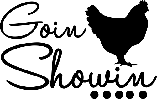 (s003-11-H) Goin Showin' Chicken Hen