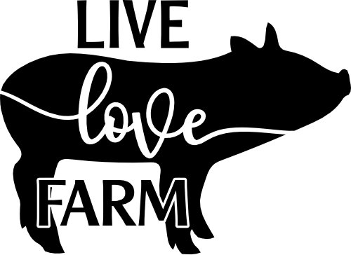 (s003-13-H) Live Love Farm Pig