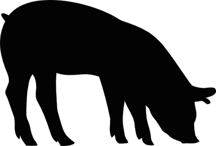 (003-04-D) Pig Silhouette