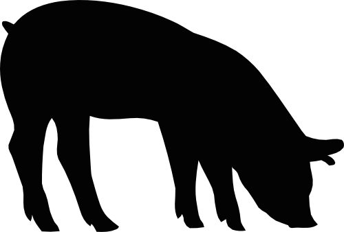 (003-04-D) Pig Silhouette