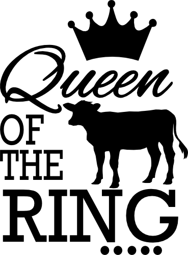 (s003-14-A) Queen of the Ring Cow