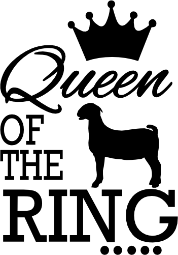 (s003-14-C) Queen of the Ring Goat