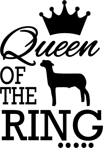 (s003-14-D) Queen of the Ring Lamb Sheep