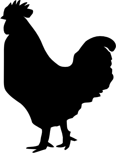 (s003-01-B) Rooster Chicken