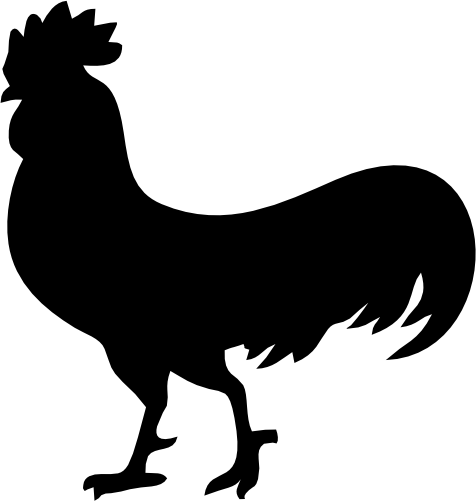 (s003-01-C) Rooster Chicken