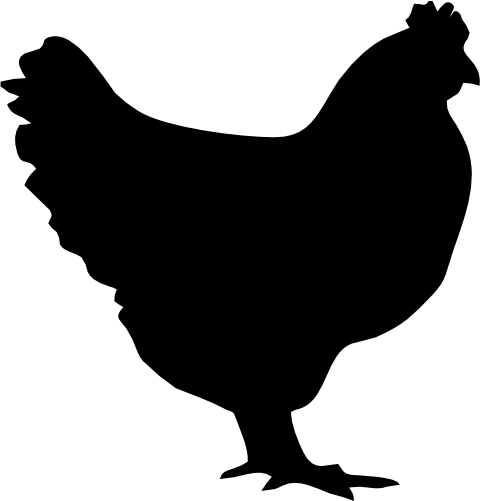 (s003-01-E) Hen Chicken