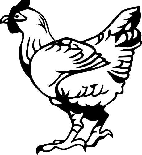 (s003-01-M) Hen Chicken