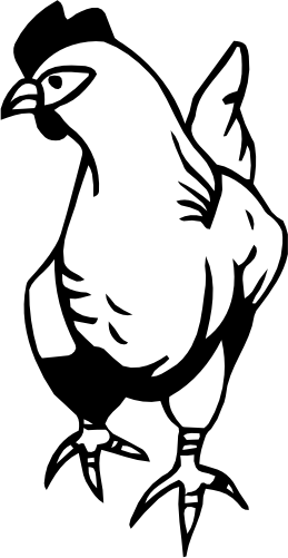 (s003-01-N) Chicken