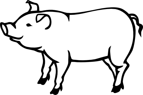 (003-04-H) Pig