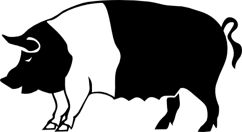 (003-04-M) Pig