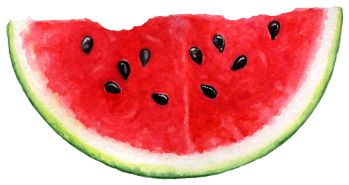 (s004-1-1C) Red Watermelon