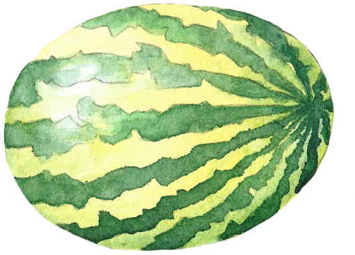 (s004-1-1K) Whole Watermelon