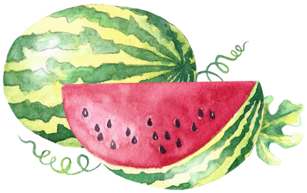 (s004-1-1L) Red Watermelon