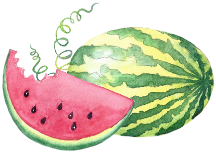 (s004-1-1M) Red Watermelon