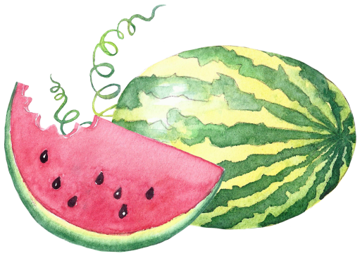 (s004-1-1M) Red Watermelon