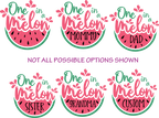 (s004-2C) Pink Watermelon One in a Melon Family Custom Collection
