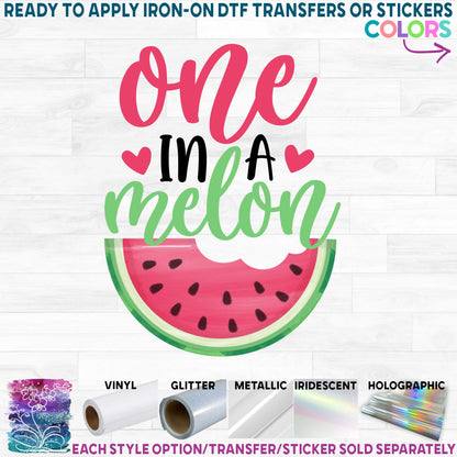 (s004-2E) Red Watermelon One in a Melon, Sweet One, Two Sweet, Family Custom Text