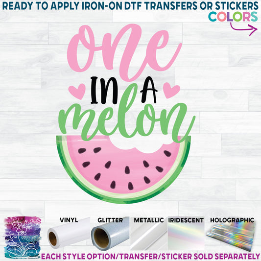 (s004-2G) Pink Watermelon One in a Melon, Sweet One, Two Sweet, Family Custom Text