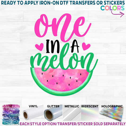 (s004-2F) Pink Watermelon One in a Melon, Sweet One, Two Sweet, Family Custom Text