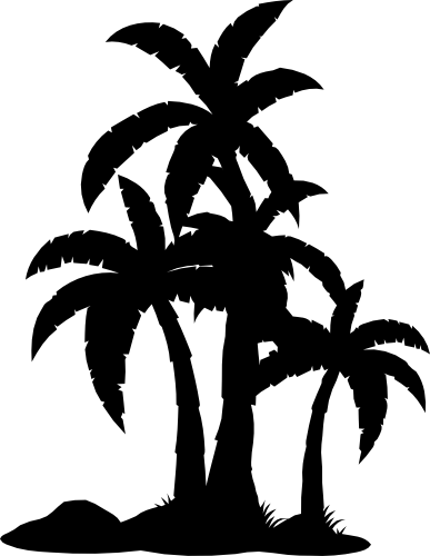 (040-01-B) Palm Tree Trees Tropical